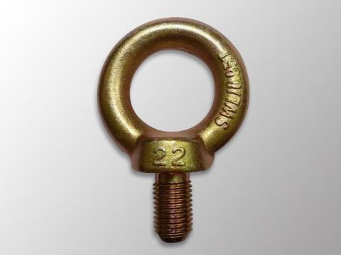 點(diǎn)擊查看詳細(xì)信息<br>標(biāo)題：吊環(huán)螺栓DIN580 閱讀次數(shù)：1434