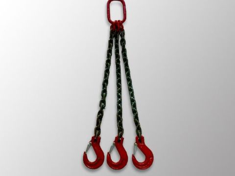 點(diǎn)擊查看詳細(xì)信息<br>標(biāo)題：鏈條吊索具 閱讀次數(shù)：1482