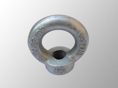點(diǎn)擊查看詳細(xì)信息<br>標(biāo)題：吊環(huán)螺母 閱讀次數(shù)：2927